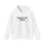 Tomorrow Is Not Promised -Hoodie - Image 5