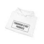 Tomorrow Is Not Promised -Hoodie - Image 8
